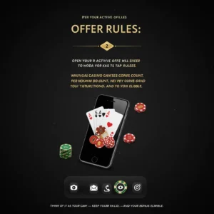 Offer Rules